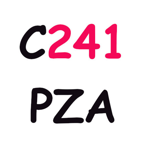 C241PZA Spice 40x240g [for outlets only]